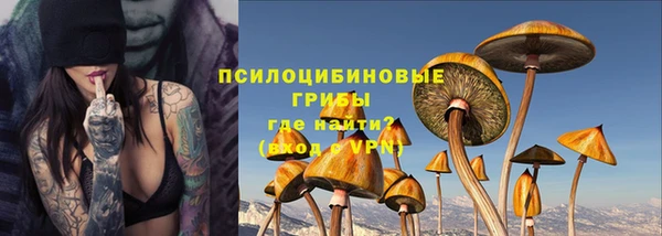 дмт Богородск
