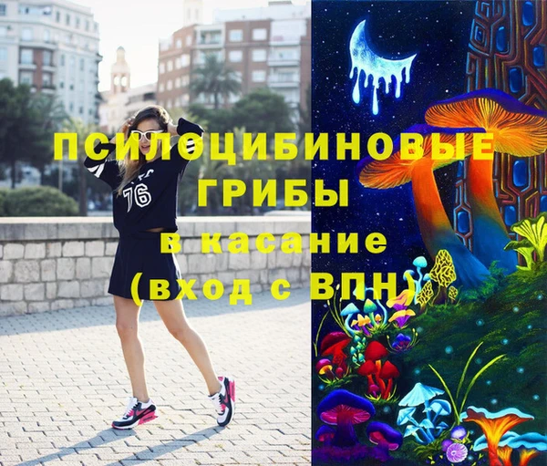 дмт Богородск