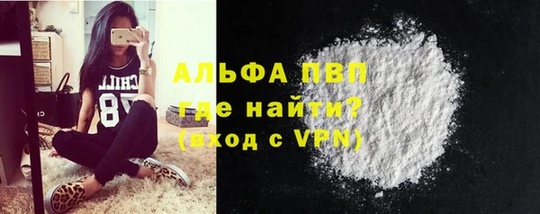 ПСИЛОЦИБИНОВЫЕ ГРИБЫ Верея