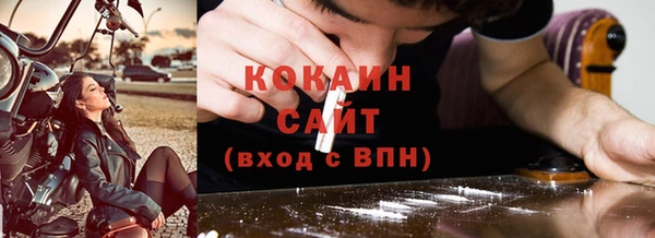 дмт Богородск
